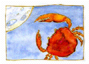 image014.gif
