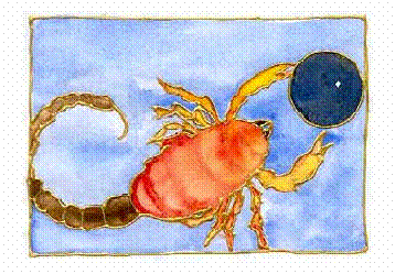 image023.gif